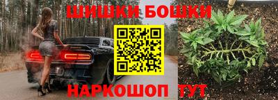 МДПВ Будённовск