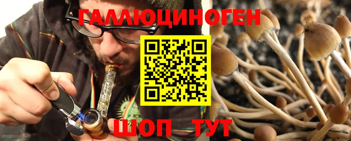 Галлюциногенные грибы мухоморы  Вход с VPN  Темрюк  Галлюциногенные грибы мухоморы 
